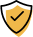 100% Secure Payment